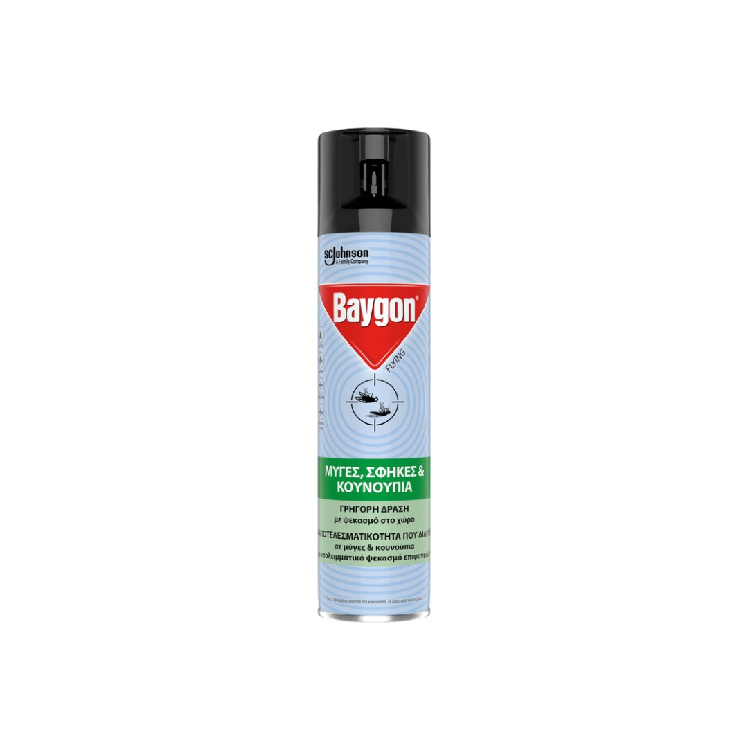 BAYGON AEROSOL ΕΝΤ/ΝΟ 300ML