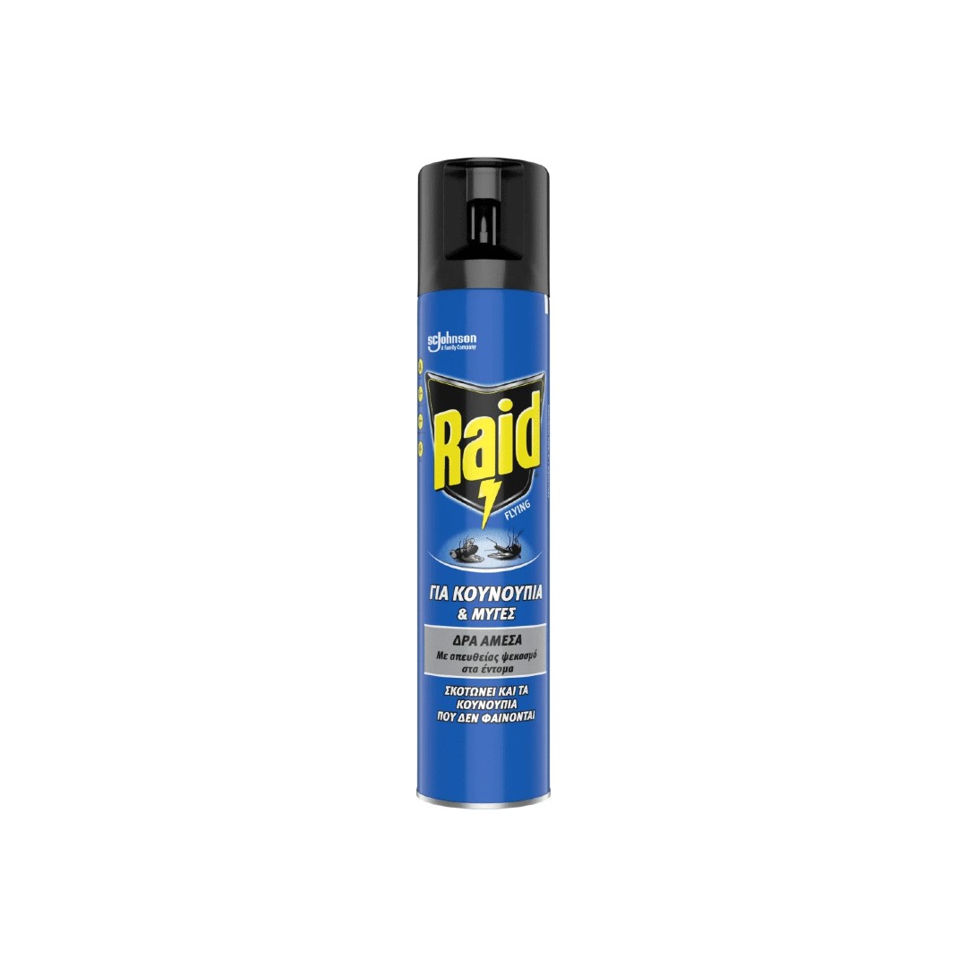 RAID ΕΝΤΟΜΟΚΤΟΝΟ SPRAY 300ML
