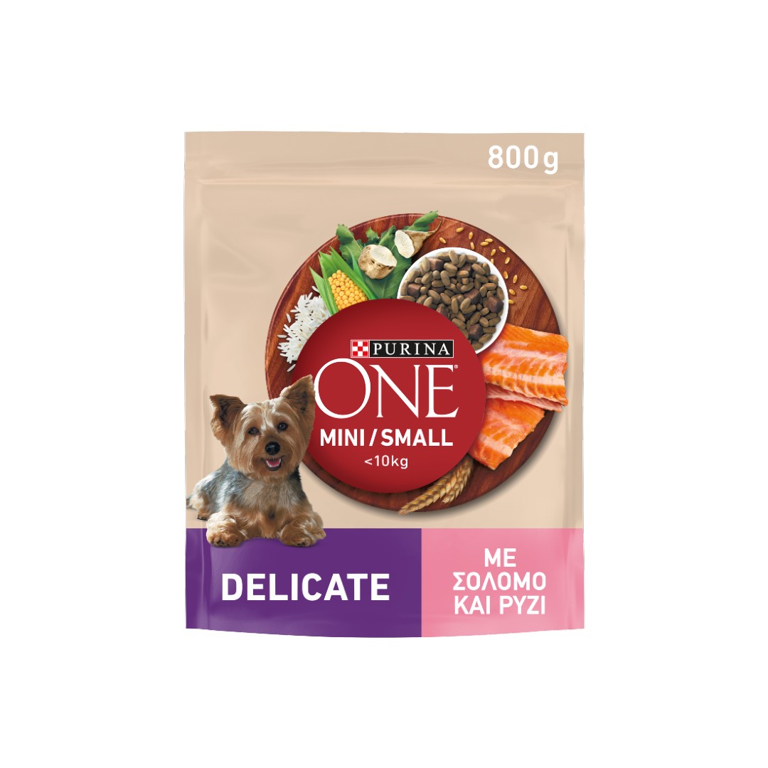 PURINA ONE MINI DOG ΣΟΛΩΜΟΣ & ΡΥΖΙ 800ΓΡ