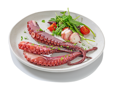 Gastronomia di Mare Χταπόδι πλοκάμι