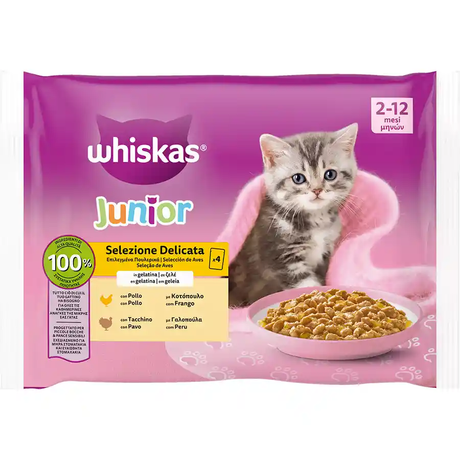 Whiskas Γατοτροφή Kitten Πουλερικά Ζελέ 4x85γρ.