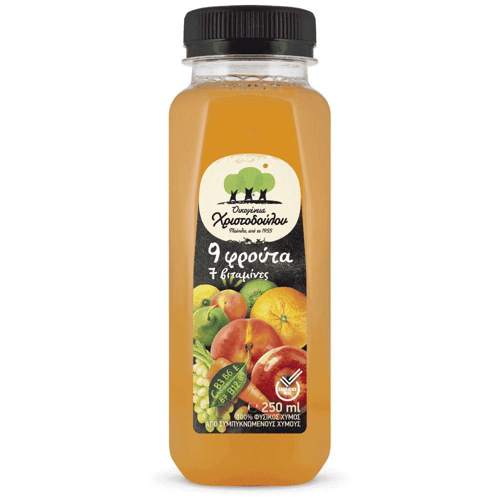 Χριστοδούλου Φυσικός Χυμός 9 Φρούτα 250ml