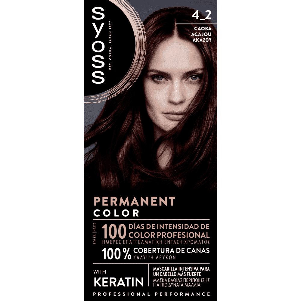 Syoss Color N4-2 Ακαζού