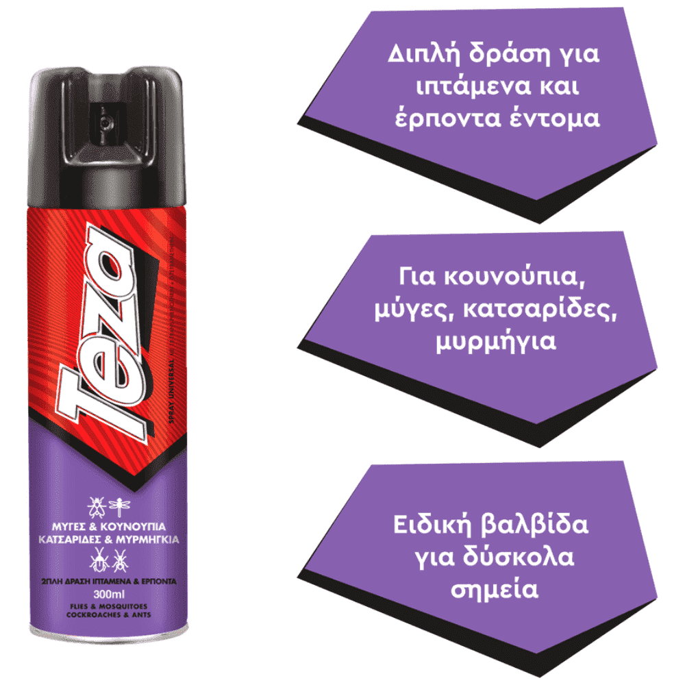 Teza Eντομοκτόνο Spray Universal 300ml