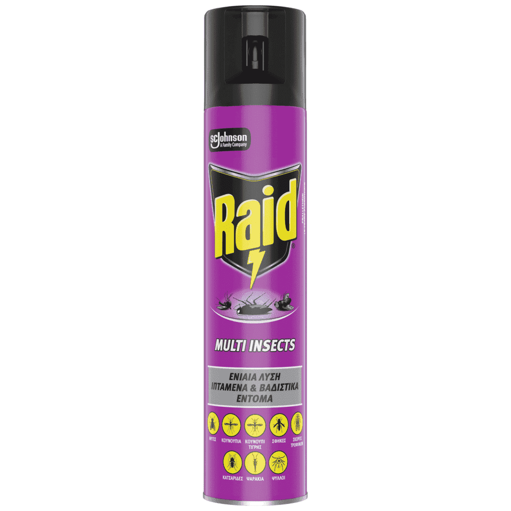 Raid Multi Insect 300ml 12s