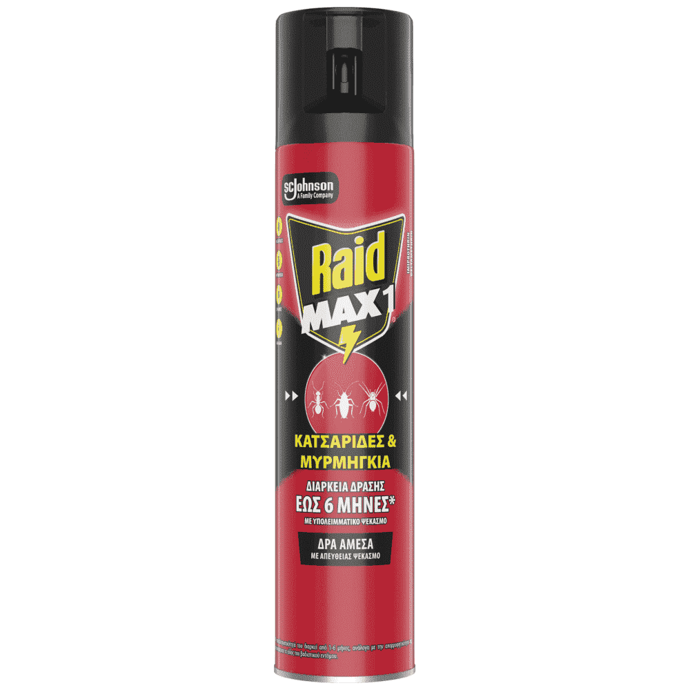 Raid Max Κατσαριδοκτόνο Spray 300ml